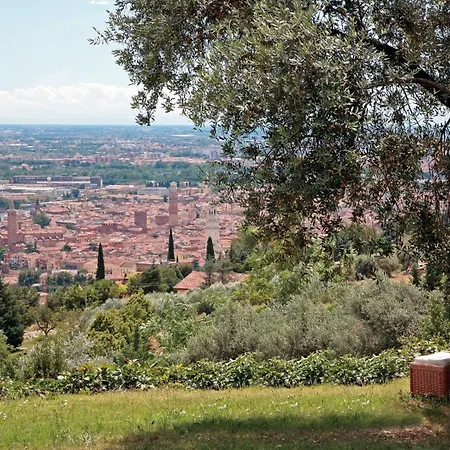 Collina Di Borgo San Mattia *